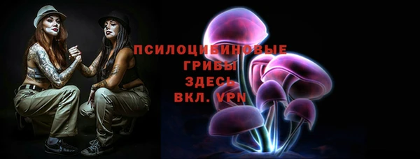 ECSTASY Зеленодольск